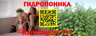 spice Донецк