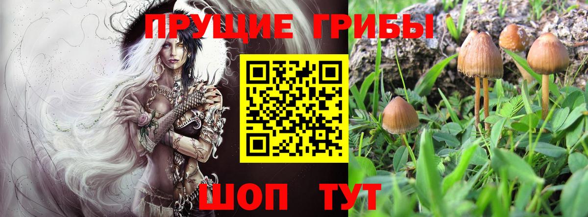 Галлюциногенные грибы Magic Shrooms Моздок